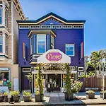 Live It Up In The Castro! 4Brwdwalk Score 98