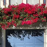 Totally Renovated Victorian House In Center Sf!