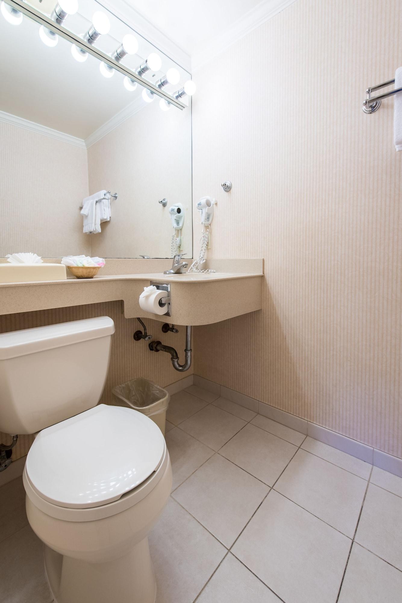 Motel Civic Center Motor 3*