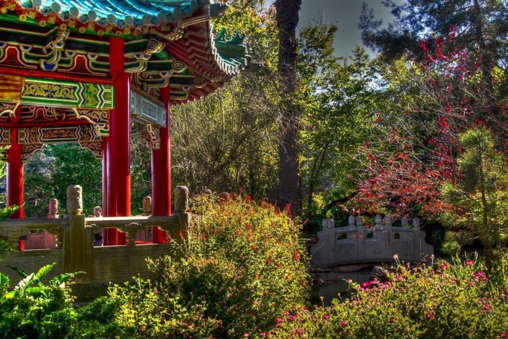 Apartment Golden Gate Park Sweet Home-2 Bedrooms San Francisco
