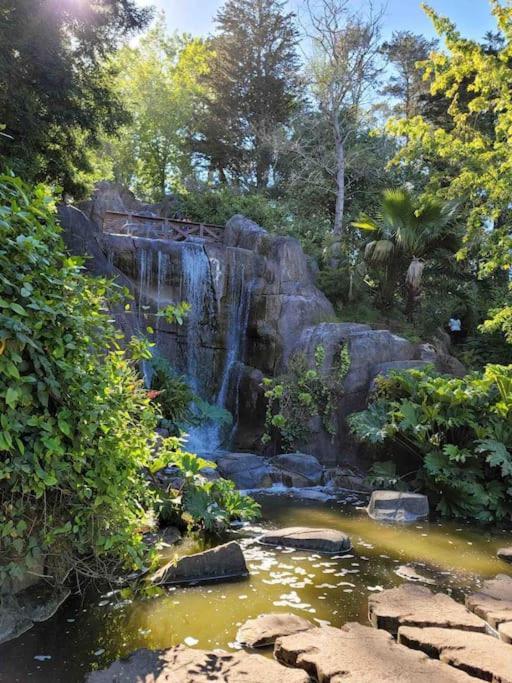 Apartment Golden Gate Park Sweet Home-2 Bedrooms