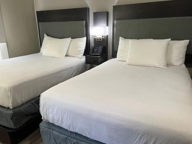 Hotel Super 8 By Wyndham San Francisco/union Square Area
