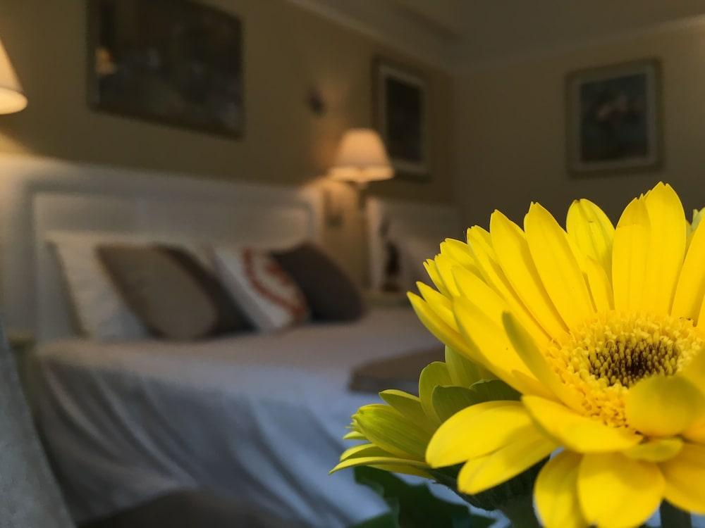 Hotel Cornell De France 3*