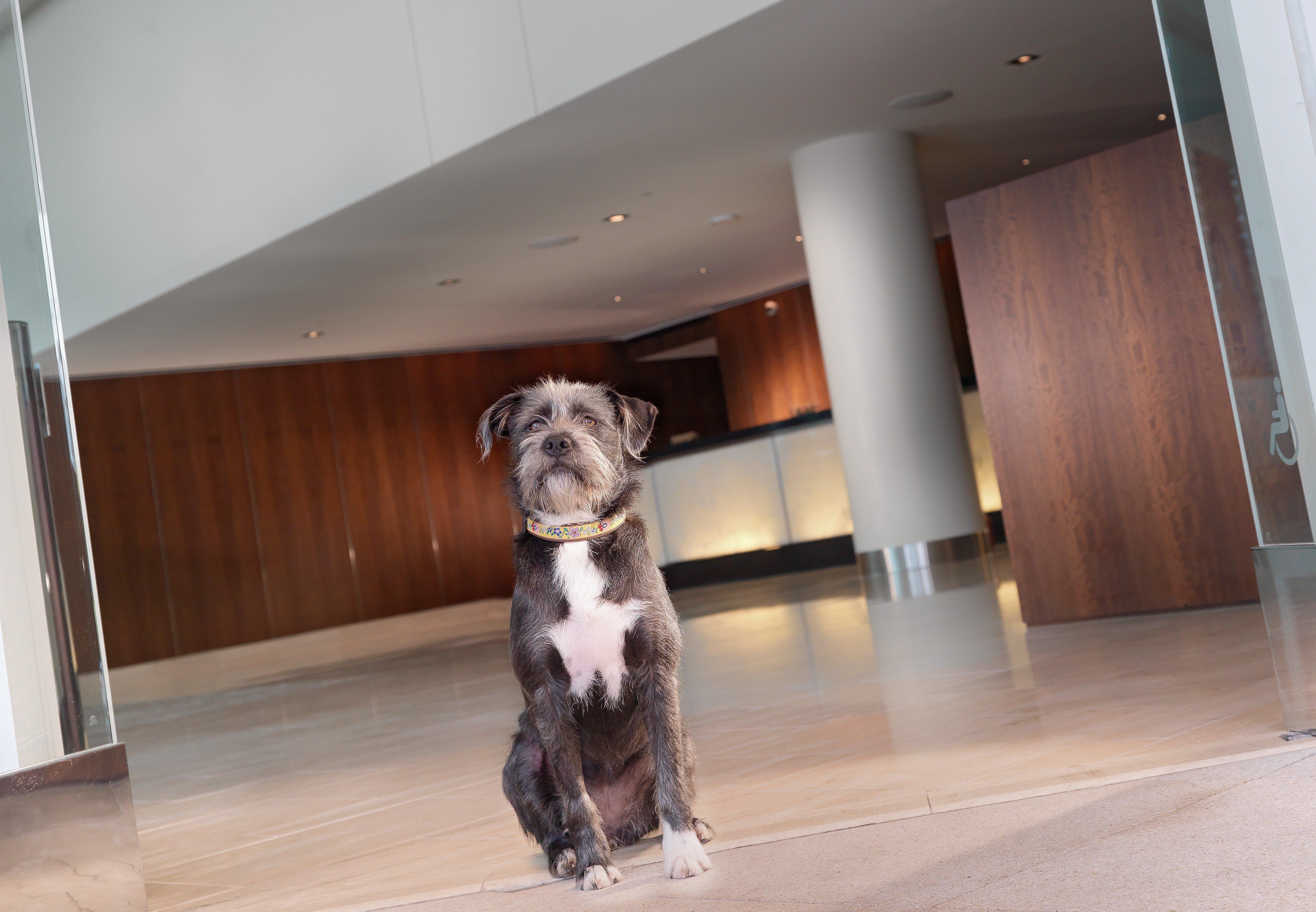 Intercontinental By Ihg 4*
