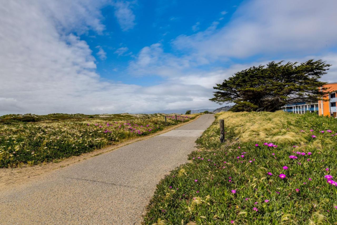 Getaway Near Golden Gate Park San Francisco