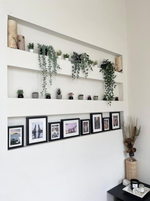 Apartment Bright Spacious & Comfortable Hayes Valley San Francisco