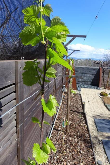 Apartment Beautiful Downtown & Bay Bridge, Vineyard Views!