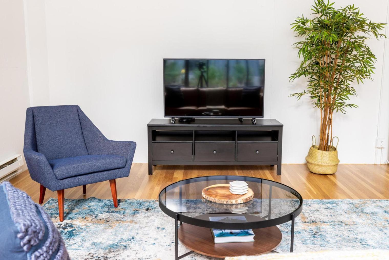 South 1br Loft Nr Groceries Restaurants Sfo-1523 Apartment San Francisco