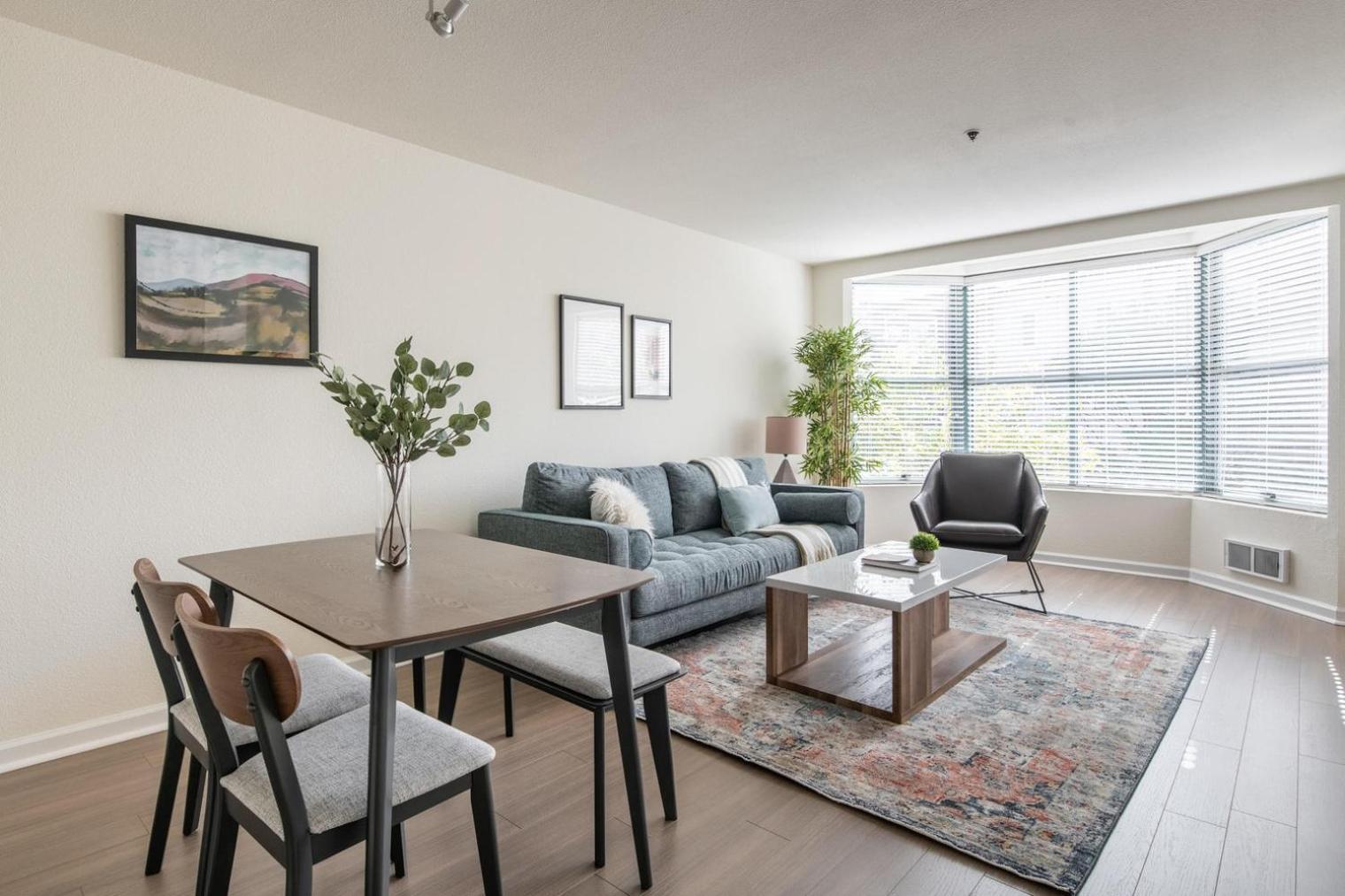 South 1br W Lounge Nr Baseball Park Sfo-1665 Apartment San Francisco