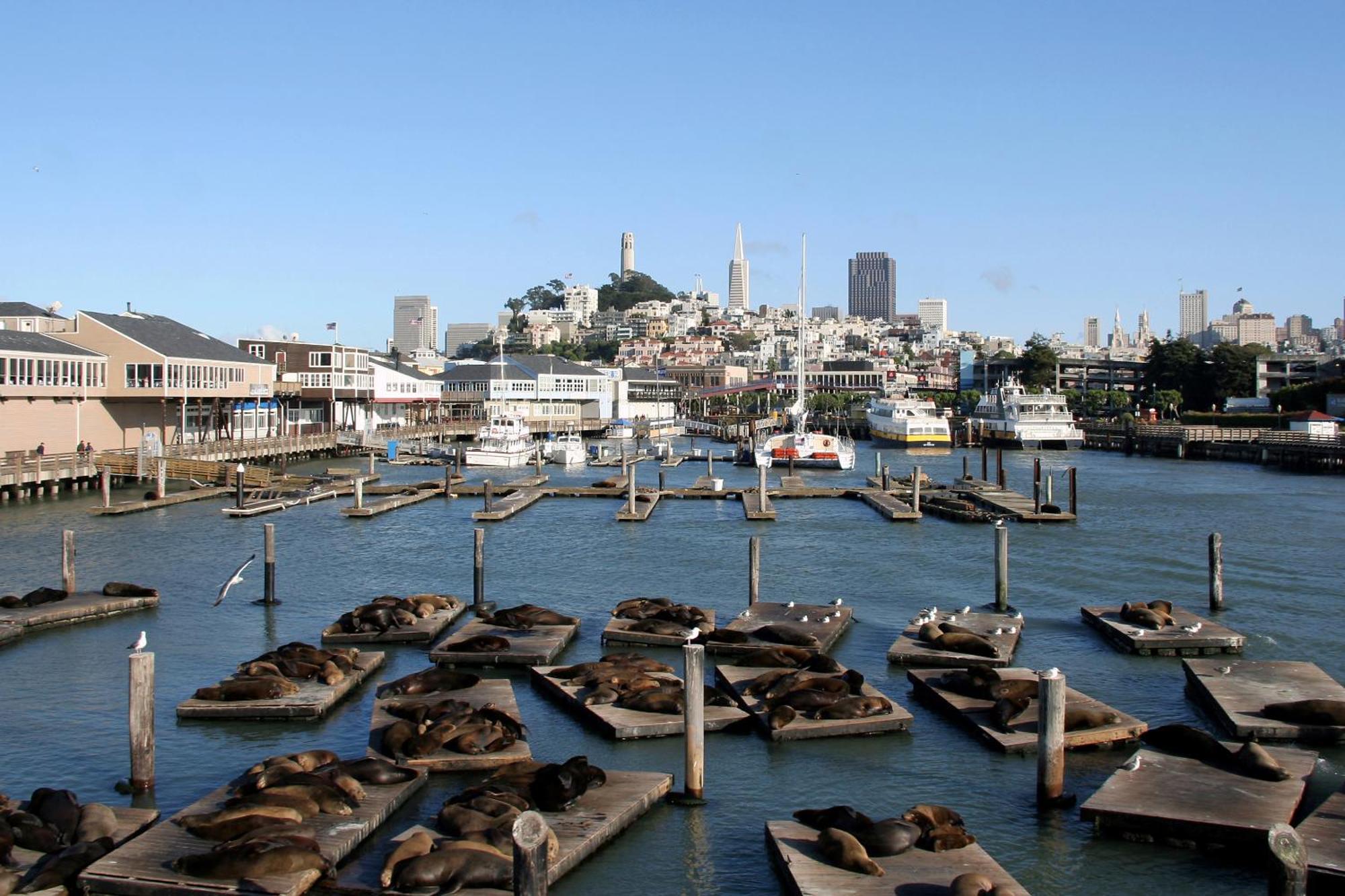 Hotel Zoe Fisherman's Wharf San Francisco