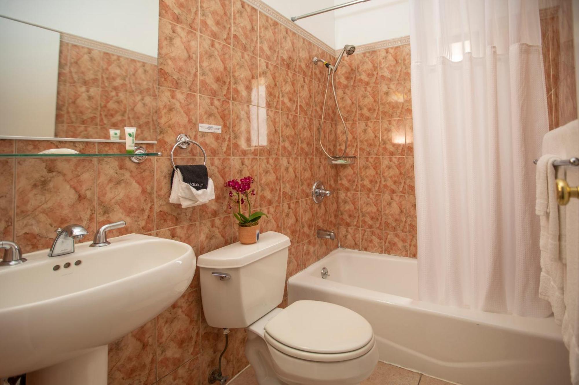 Edwardian San Francisco