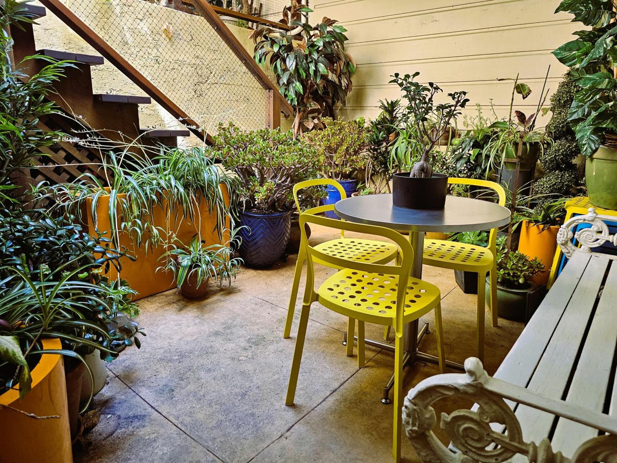 San Fran Zanadu - Private Garden Guest house San Francisco