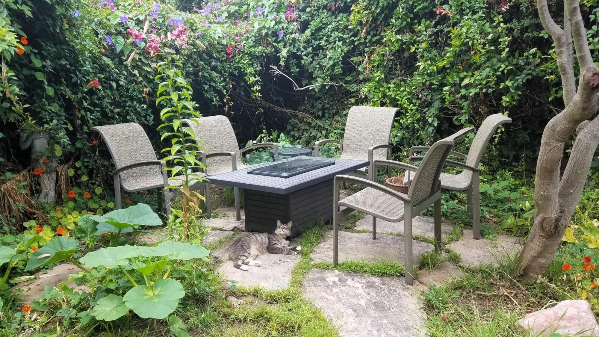 Guest house San Fran Zanadu - Private Garden San Francisco