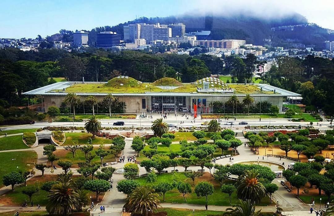 Golden Gate Park Luxury 4br - 2ba In Holiday home *
