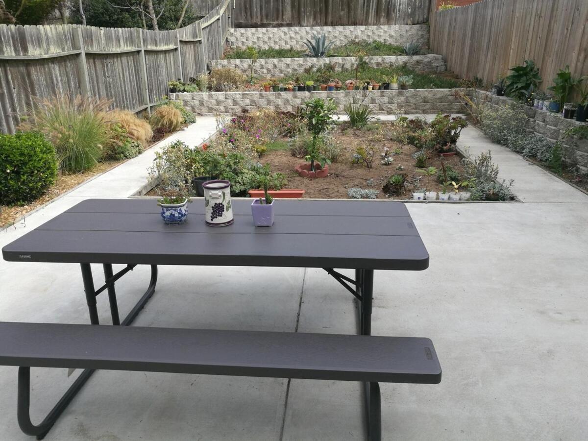 Apartment Two Bedrooms With Private Bathrooms By Golden Gate Park & Ocean San Francisco