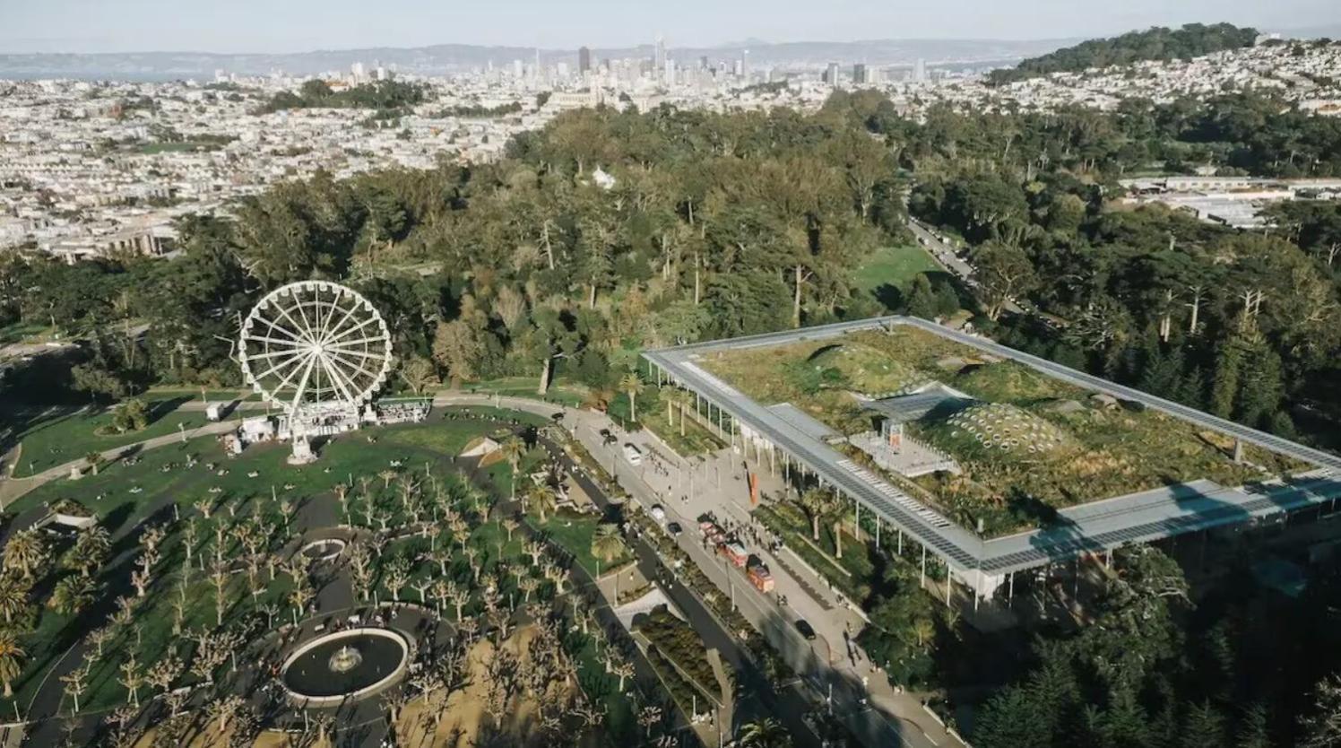 Hayes Valley 3bed By Restaurants, Bars And Shops Apartment