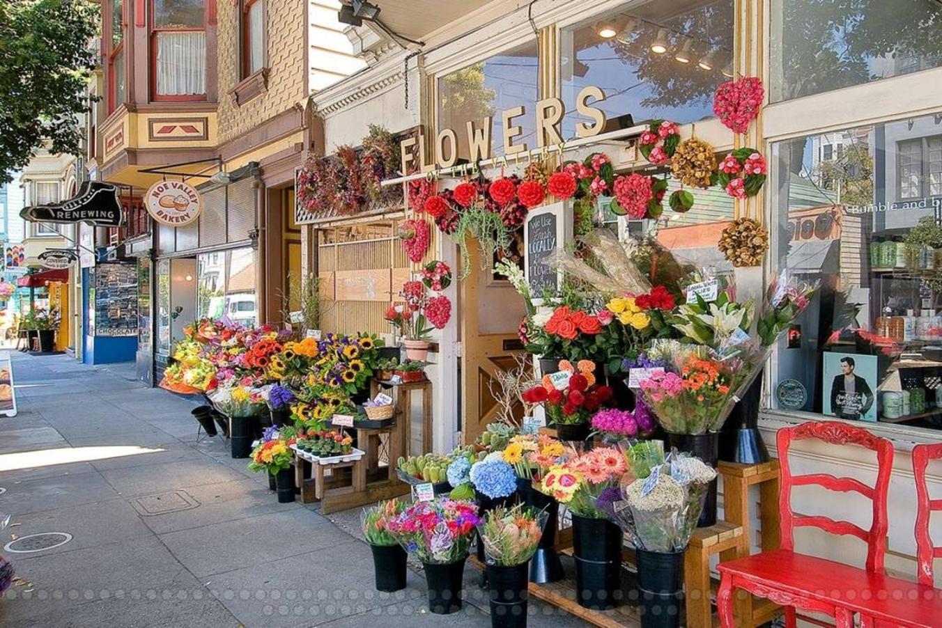 Lovely Noe Valley W Light, View & Parking! Holiday home San Francisco
