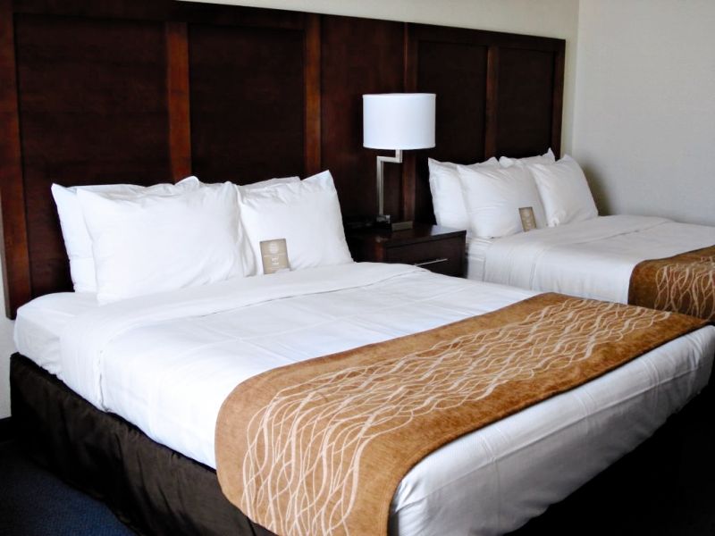 Comfort By The Bay San Francisco
