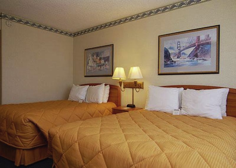 Comfort By The Bay 3*