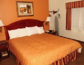 Super 8 Fishermans Wharf Hotel 2*