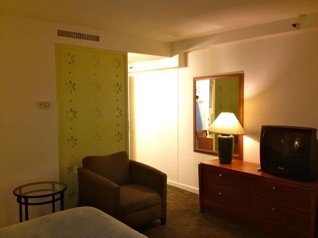 Oasis 2*