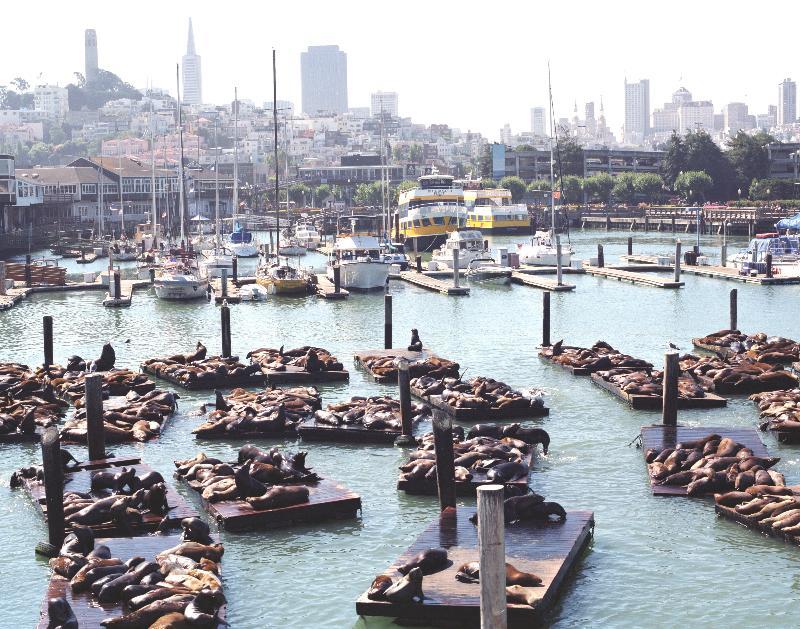 Hotel Courtyard By Marriott Fishermans Wharf 4*