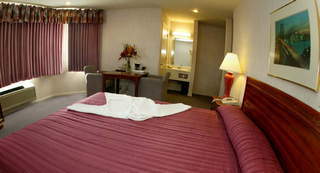 Inn Buena Vista Motor San Francisco