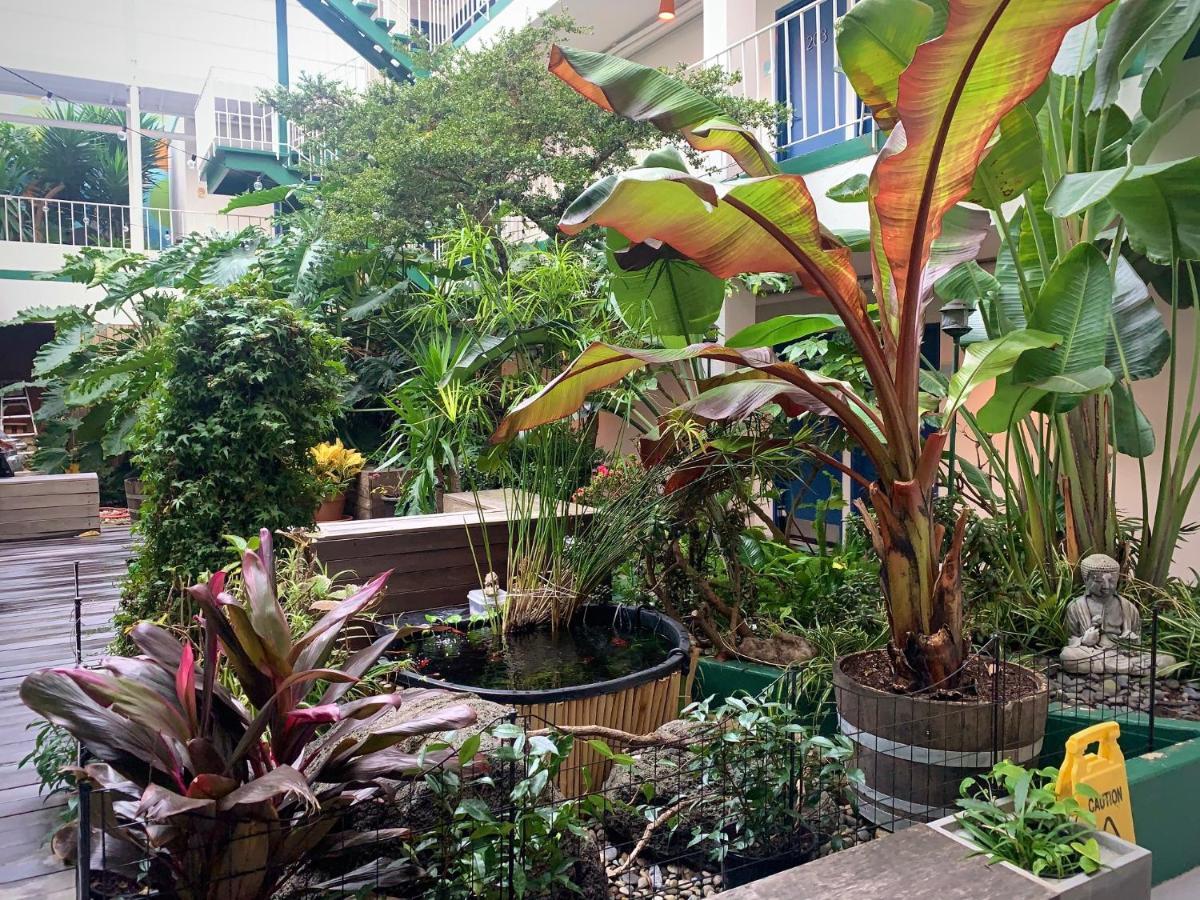 Inn Oasis San Francisco
