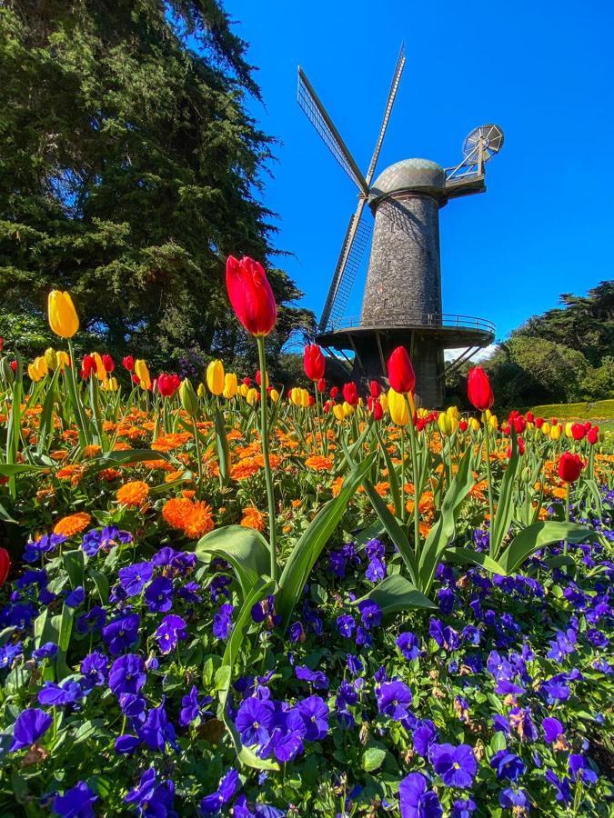 Homestay Golden Gate Park