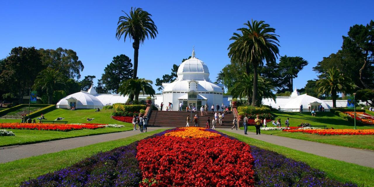 Golden Gate Park Homestay