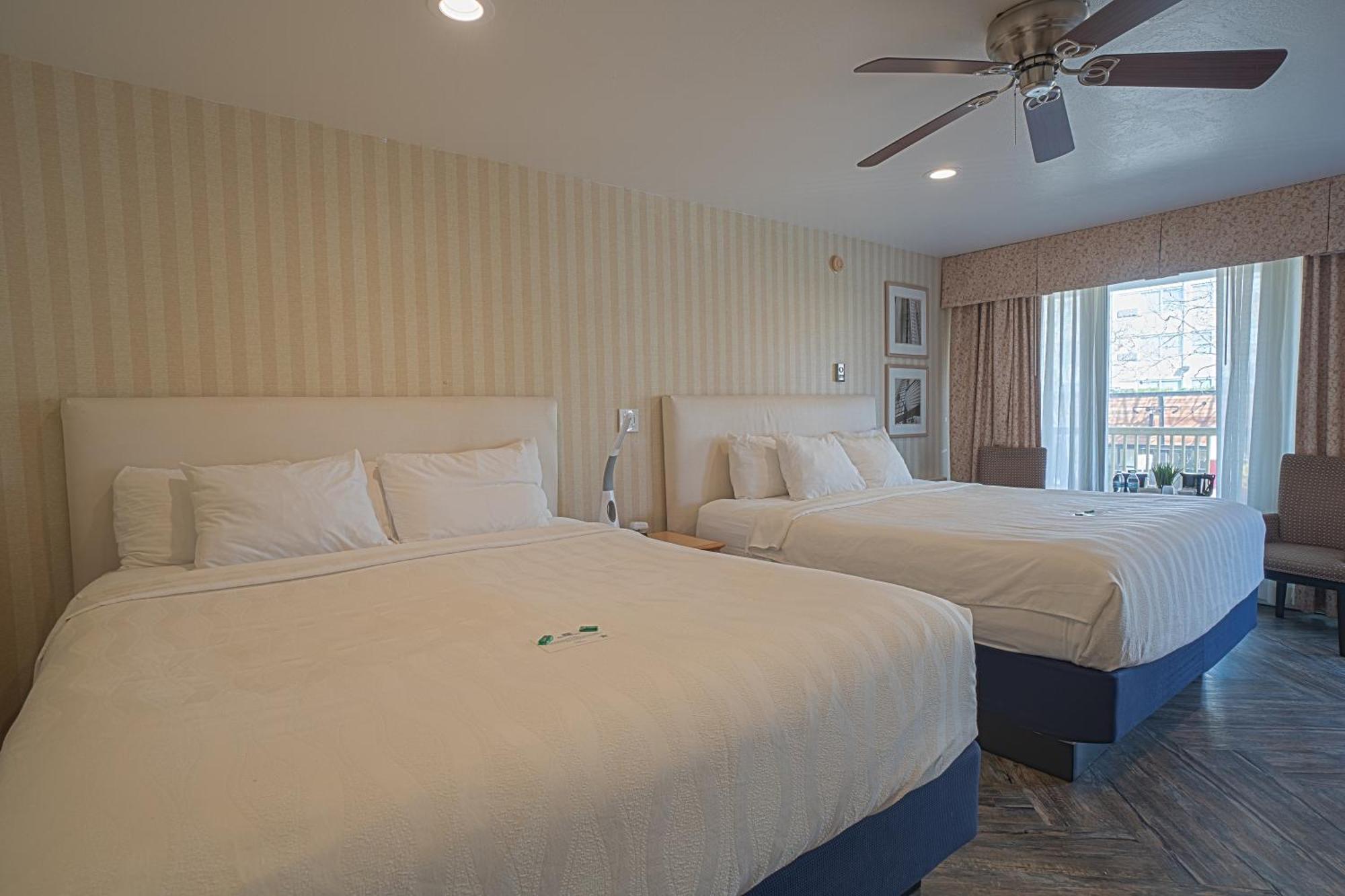 Motel The Wharf 2*