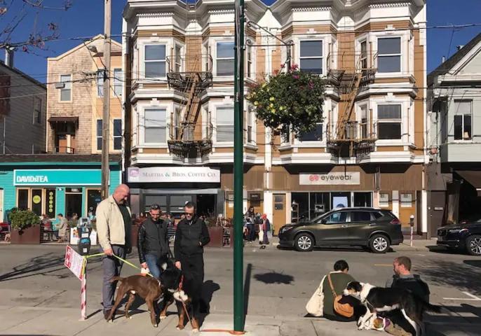 Totally Renovated Victorian House In Center Sf! Holiday home *