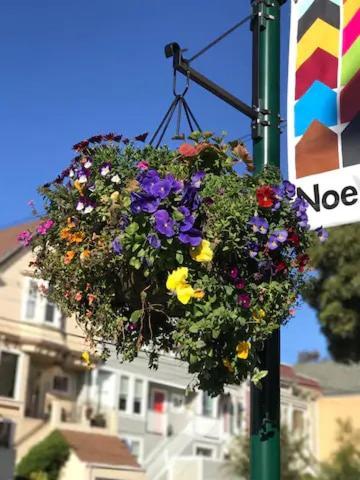 Totally Renovated Victorian House In Center Sf! Holiday home San Francisco