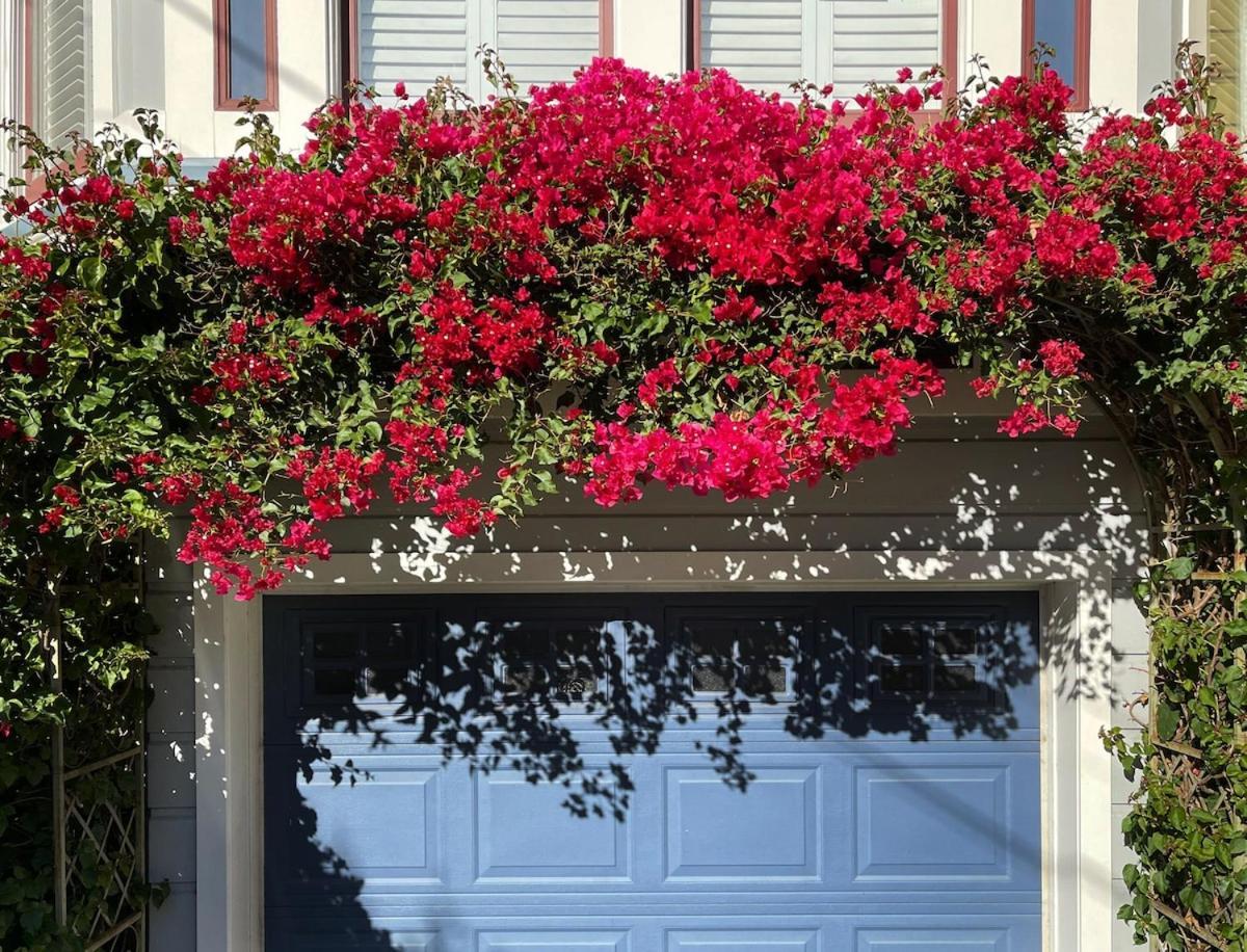 Totally Renovated Victorian House In Center Sf! *