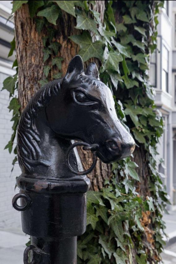 Bed & Breakfast Nob Hill Charm 4*