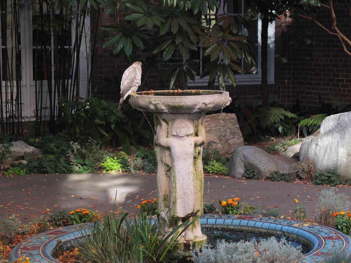 Zen Center