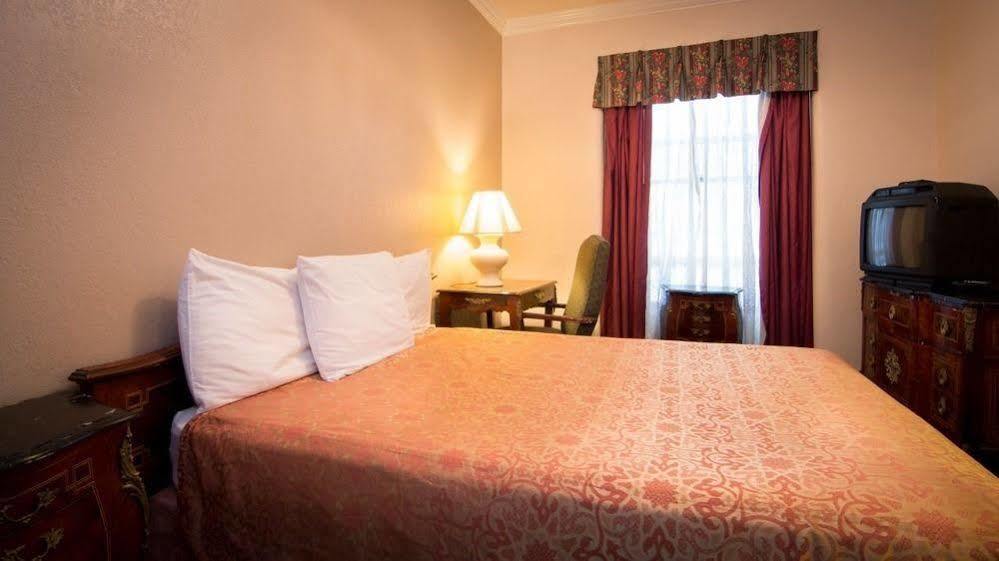 Amsterdam Hostel