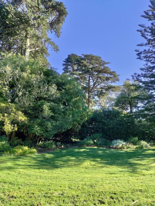 Apartment Sunny Sf Home, Quiet, Convenient W/parking San Francisco