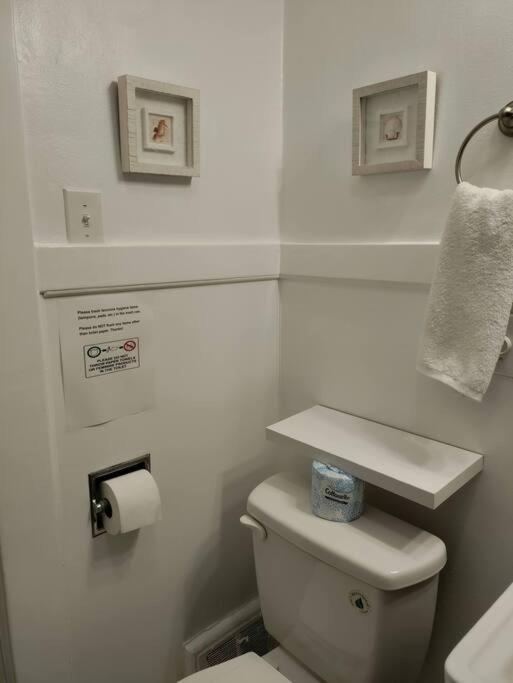 Apartment Sunny Sf Home, Quiet, Convenient W/parking *